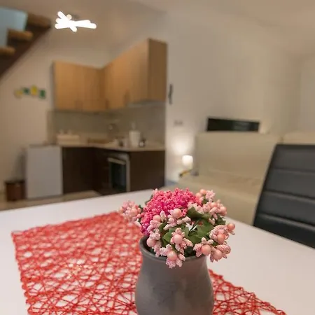 Ferienhaus Vikendica 