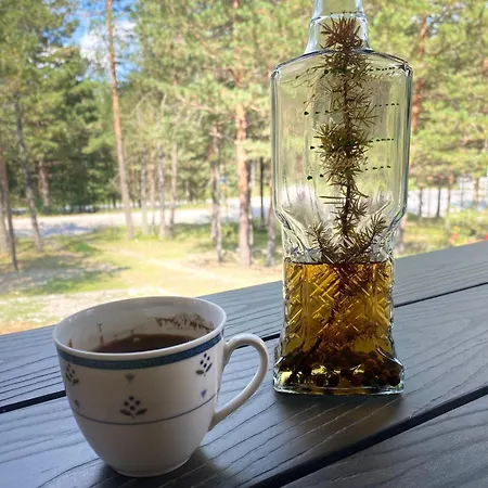 Holiday home Vikendica 